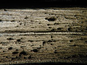 Sezione rullo in carbonio con tecnologia Pull winding