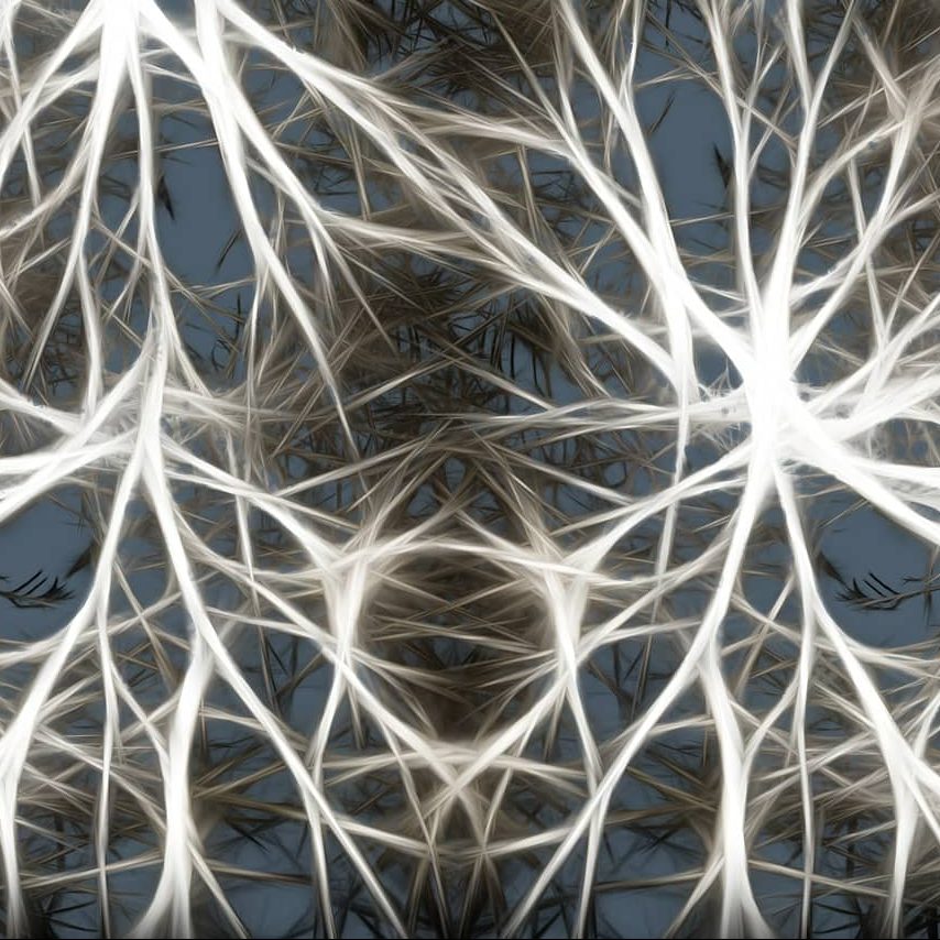 fibre tessuto non tessuto